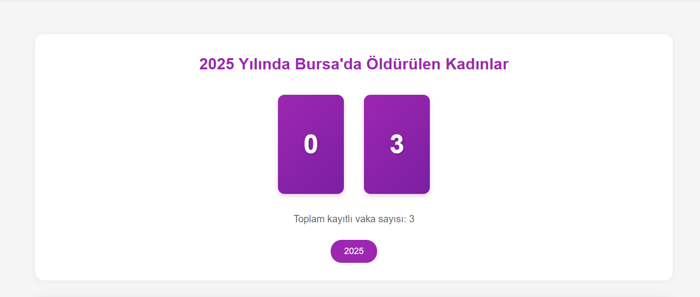 Kadın Cinayetleri Anıt Sayacı – Bursa