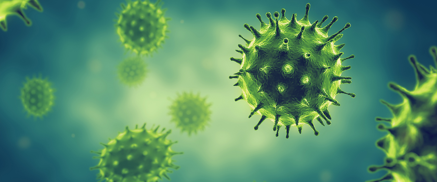 Massive Bioinformatics Assessment