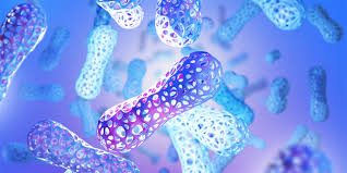 FoodProt: Specialized Protein Sequence Databases for Food Metaproteomics